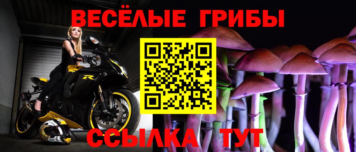Псилоцибиновые грибы ЛСД  Галлюциногенные грибы Psilocybe  Советск  где купить наркоту  Вход с VPN 